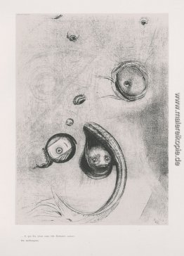 Und die Augen, ohne Köpfe wie Weichtiere schwimm (Platte 13) Und die Augen, ohne Köpfe wie Weichtiere schwimm (Platte 13)