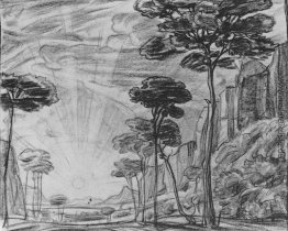 Landschaft mit hohen Bäumen Landschaft mit hohen Bäumen