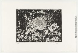 Der Ball of Fire (La boule de feu) von Hayterophilies 1986 Der Ball of Fire (La boule de feu) von Hayterophilies 1986