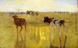 Cattle gegen die Sonne auf der Insel Saltholm gesehen. Eine Farb Cattle gegen die Sonne auf der Insel Saltholm gesehen. Eine Farb