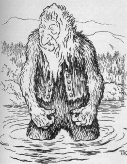 Silber Ente Silber Ente