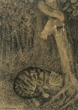 Katt Og Ekorn Katt Og Ekorn