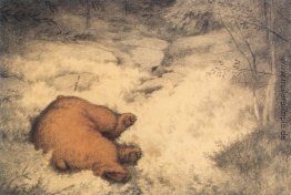 In den Blaubeersträuchern Bruin schlafen In den Blaubeersträuchern Bruin schlafen