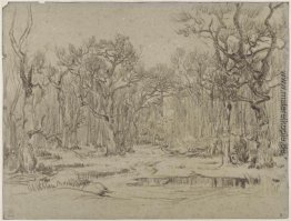 Der Wald im Winter Der Wald im Winter