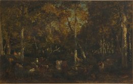 Im Inneren des Waldes Hain am Vieux Dormoir du Bas-Bréau (Wald v Im Inneren des Waldes Hain am Vieux Dormoir du Bas-Bréau (Wald v