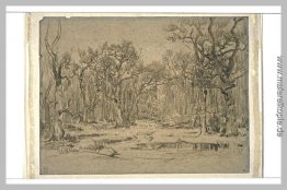 Der Wald im Winter Der Wald im Winter