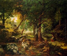 Waldlandschaft Sun Waldlandschaft Sun