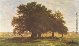 Steineichen, Apremont Steineichen, Apremont