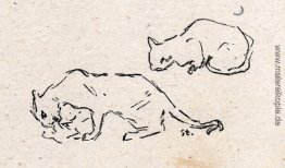 Playful Cats Playful Cats