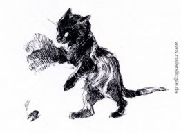 Pfote Katzen in Unschärfe Bewegung Pfote Katzen in Unschärfe Bewegung