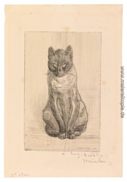 Kleine Katze Sitzen Kleine Katze Sitzen