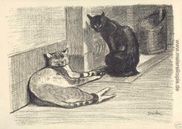Zwei Katzen Zwei Katzen
