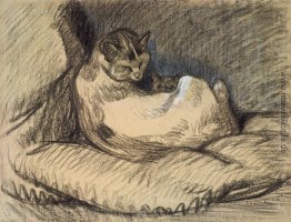 Mutter-Katze Mutter-Katze