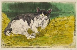 Old Cat Old Cat