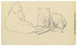 Zwei Katzen Zwei Katzen