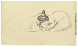 Zwei schlafenden Katzen Zwei schlafenden Katzen