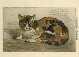 Kleine Katze Kleine Katze