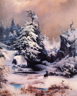 Winter in den Rockies Winter in den Rockies