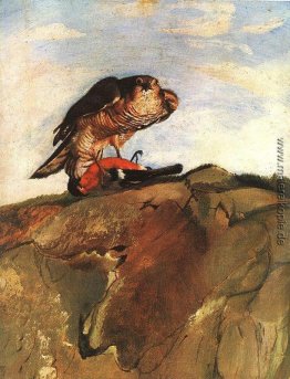 Raubvogel Raubvogel