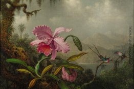 Orchideen und Kolibris Orchideen und Kolibris