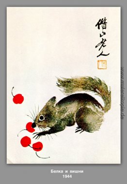 Protein, Eichhörnchen und Kirschen Protein, Eichhörnchen und Kirschen