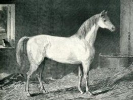 Messenger Pferd Messenger Pferd