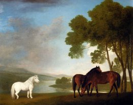 Zwei Bay Stuten und ein graues Pony in einer Landschaft Zwei Bay Stuten und ein graues Pony in einer Landschaft
