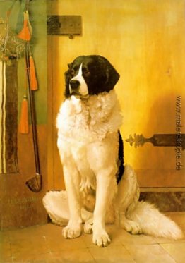 Study of a Dog Study of a Dog