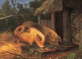 Schweine, die in einem Trog Schweine, die in einem Trog