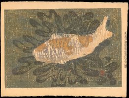 Dämmerung (D) Dämmerung (D)