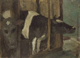 Kuhstall Kuhstall