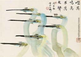 Cranes Cranes