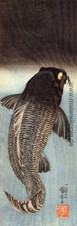 Schwarzer Karpfen Schwarzer Karpfen