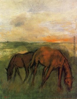 Zwei Pferde in einer Weide Zwei Pferde in einer Weide