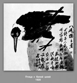 Ein Vogel mit einem weißen Hals Ein Vogel mit einem weißen Hals