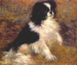 Tama die japanische Hund Tama die japanische Hund