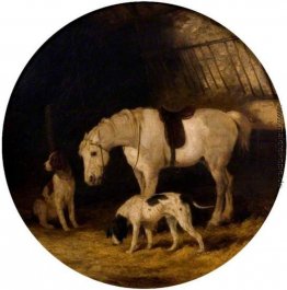 Pony und Hunde Pony und Hunde