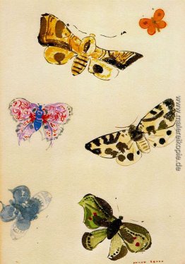 Schmetterlinge Schmetterlinge