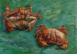 Zwei Befestigungsklammern Zwei Befestigungsklammern