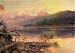 Deer am Lake McDonald Deer am Lake McDonald