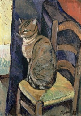 Study of a cat Study of a cat