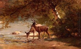 Deer in einer Landschaft Deer in einer Landschaft
