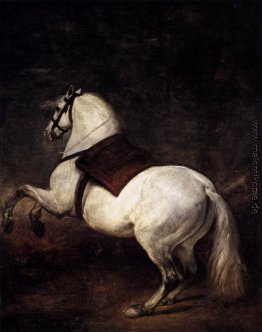 A White Horse A White Horse