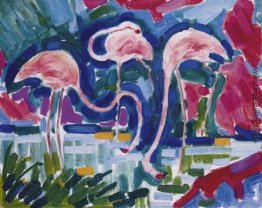 Les flamants Les flamants