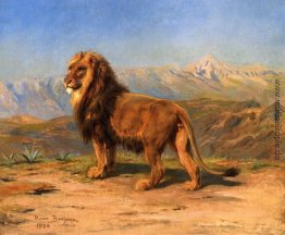 Lion in einer Gebirgslandschaft Lion in einer Gebirgslandschaft