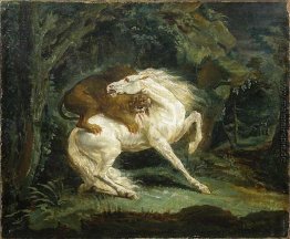 Pferd von einem Löwen angegriffen Pferd von einem Löwen angegriffen