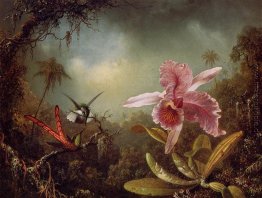 Orchid mit zwei Kolibris Orchid mit zwei Kolibris