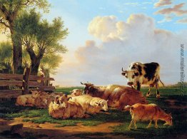 Wiese mit Rindern Wiese mit Rindern