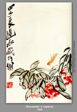 Impatiens und Heuschrecken Impatiens und Heuschrecken