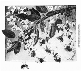 Paa Kirsebaergrenen Paa Kirsebaergrenen